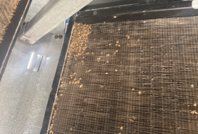 Cottonwood tree fluff on a Trane air cooled chiller RTAC350 in Martin County, Florida.